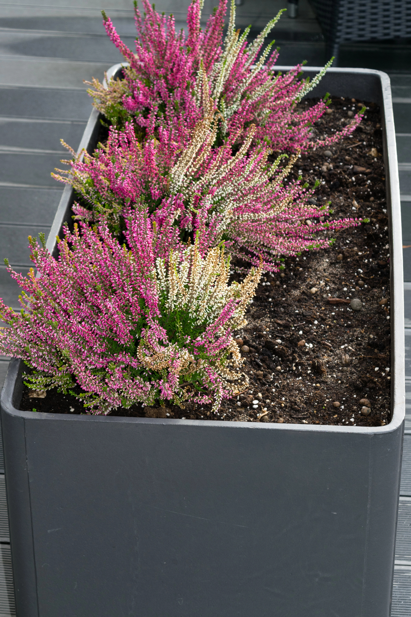 Priročne visoke grede dandanes zelo iskane